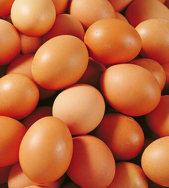 怎么减肥不反弹 不反弹的四个减肥方法