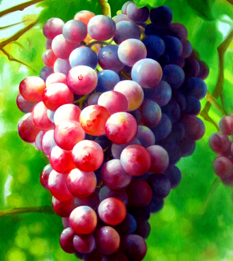 减肥食物 女性多吃13种减肥食物消脂又排毒