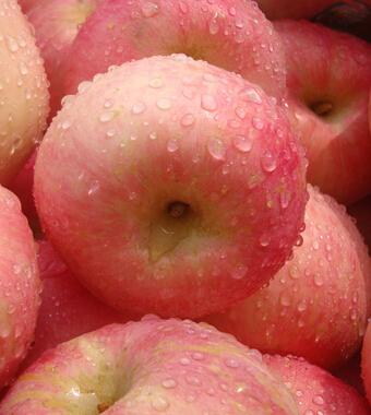 怎么减肥  少动多吃 才是王道