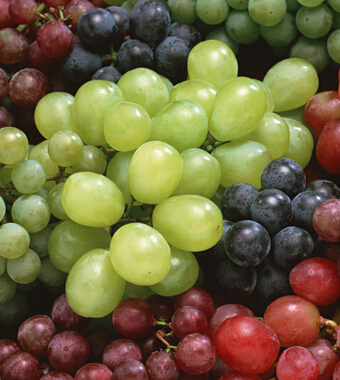 吃什么水果减肥最快 5大技巧让你拒绝脂肪