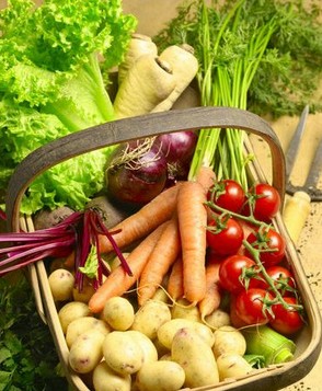 针灸减肥食谱 高蛋白低脂低糖