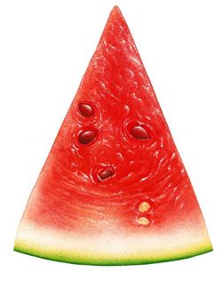 夏日首选西瓜减肥 好吃又减肥