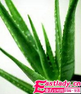 5款美味食谱助你清肠瘦身