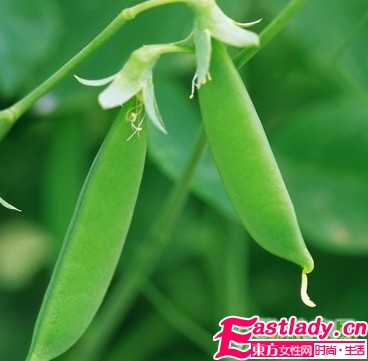 让减肥失败蔬菜水果大全