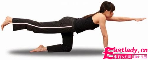 猫式瑜珈减肥 修炼优雅姿势
