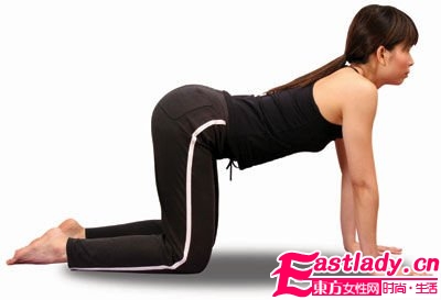 猫式瑜珈减肥 修炼优雅姿势