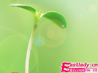 春季如何减肥瘦身最有效