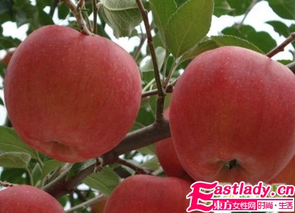 7大神奇的瘦腰食物