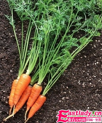 最有效瘦脸的5大食物