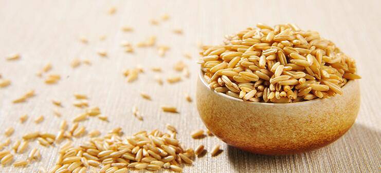 越吃越瘦的10种杂粮 让你变美不再是梦