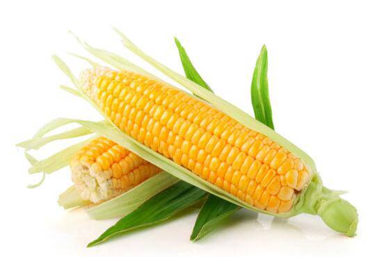 越吃越瘦的10种杂粮 让你变美不再是梦