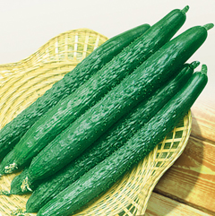 减肥食谱必不可少的两种食物