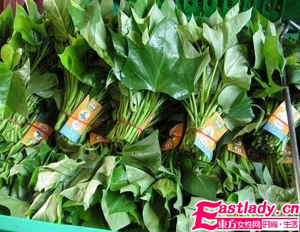 越吃越瘦的8大减肥食物