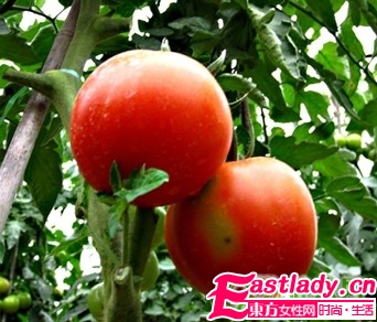 夏季最能减肥的9大蔬果