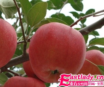 让你狂吃不胖的11种食物