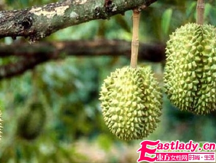 5大怪味食物 减肥有奇效