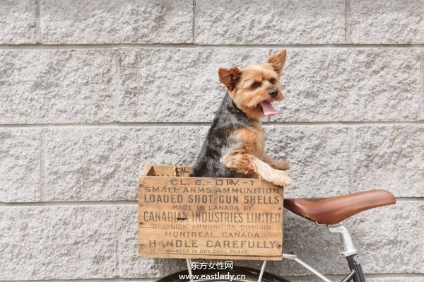 2013年8月份欧美街拍第八季