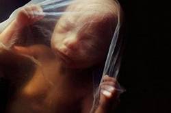 胎儿几周入盆 胎儿发育标准表