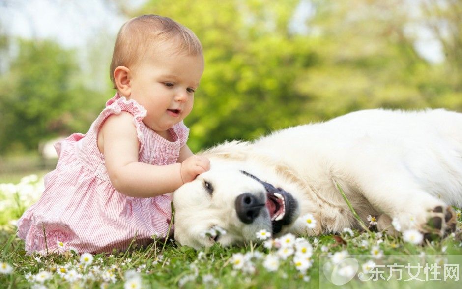 孩子贫血有什么症状  孩子贫血就吃这八种食物