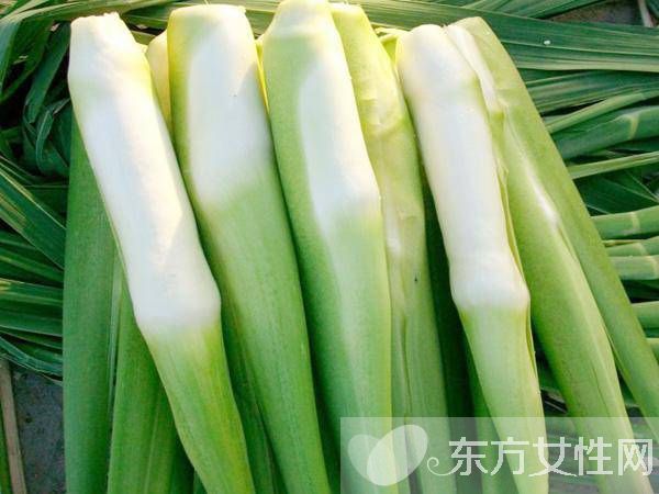 哺乳期下奶食谱推荐 这些食物对下奶很有帮助哦