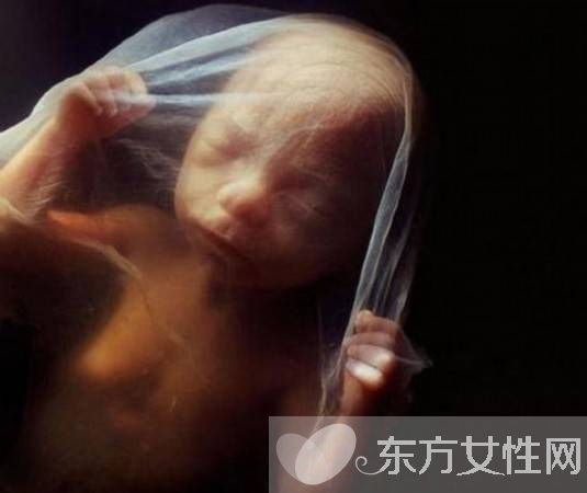 胎儿几周入盆 胎儿发育标准表