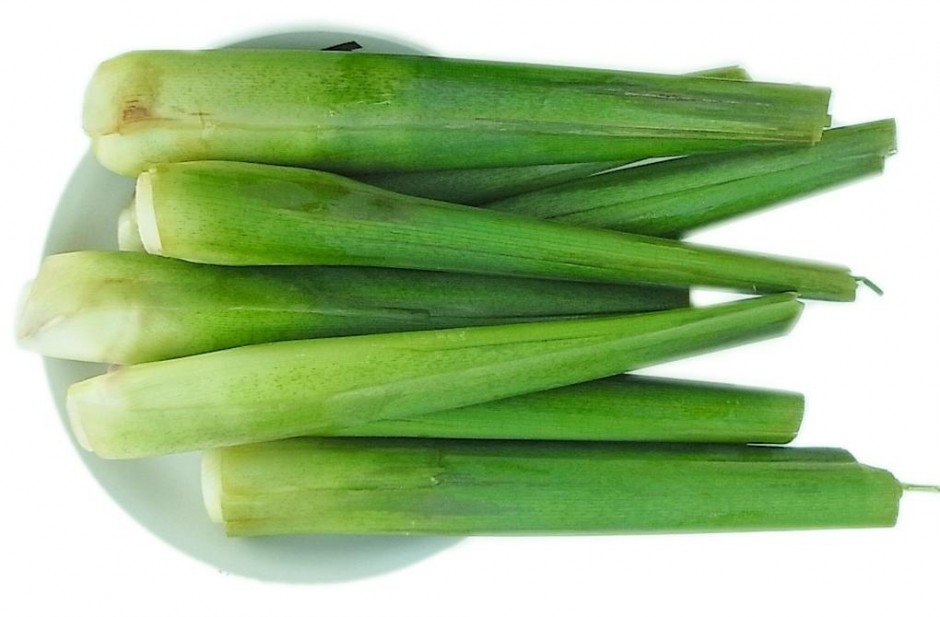 产后催乳的食谱有哪些 5个窍门轻松搞定