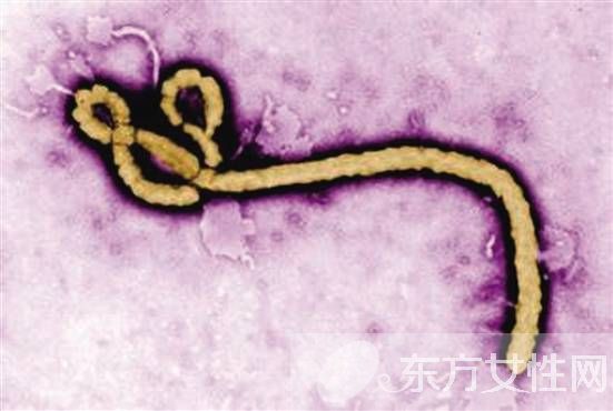 轮状病毒疫苗什么时候接种 轮状病毒疫苗的接种注意事项