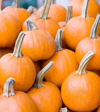 春天流行病的预防 温暖春天谨防五类疾病