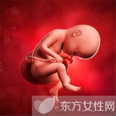 胎儿几周入盆 胎儿发育标准表