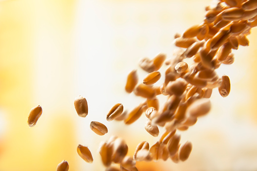 回奶的食物有哪些  母乳喂养回奶食谱分享