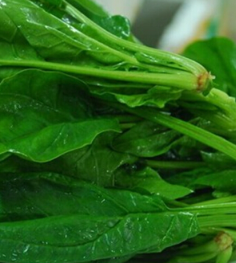 春天流行病的预防 温暖春天谨防五类疾病