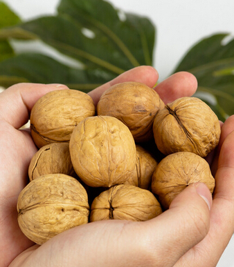 止咳化痰偏方 宝宝止咳化痰食疗菜谱