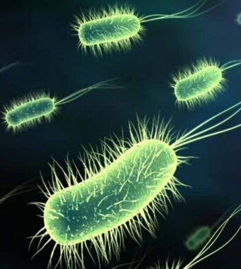 春天流行病的预防 温暖春天谨防五类疾病