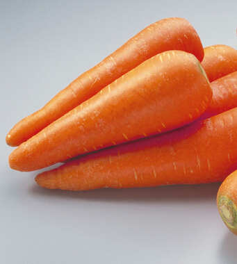 胡萝卜的功效与作用 有助于宝宝健康成长