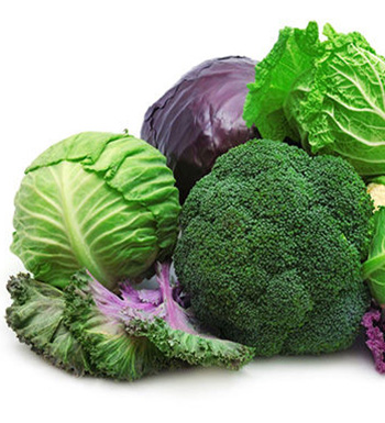 食疗药膳  哪些食物可以提高小孩的免疫力