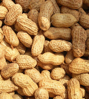 咳嗽怎么办 儿童咳嗽有哪些饮食禁忌