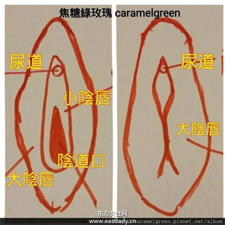 宝宝阴部沾黏发痛原来是它惹的祸
