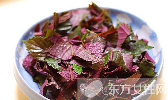 小儿止咳化痰偏方推荐 谁说生病需要打针吃药的呀