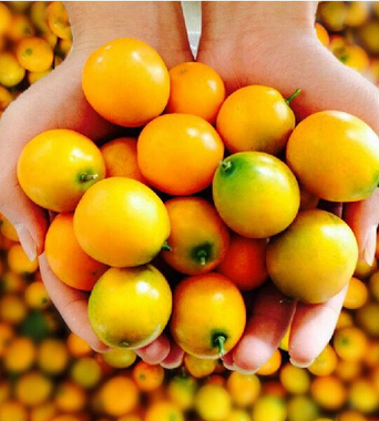 咳嗽吃什么好的快 孕期咳嗽饮食偏方