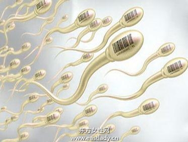 生男孩需要增加精液的黏稠度