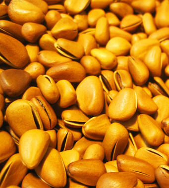 怀孕初期吃什么好 孕期吃什么坚果好