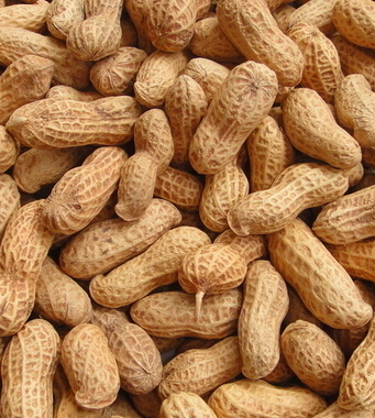 怀孕初期吃什么好 孕期吃什么坚果好