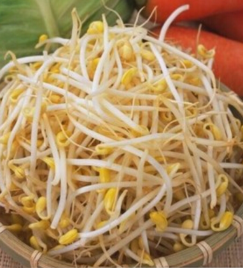 怀孕前的准备 孕前饮食排毒与保健