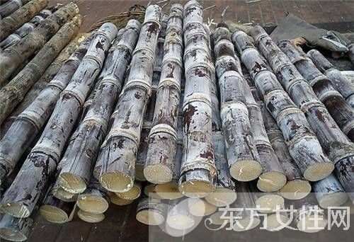 孕妇禁忌水果一览表 这些水果千万不要多吃哦