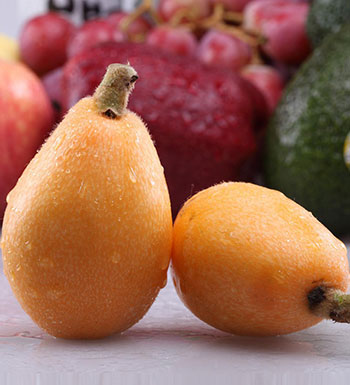 水果养生常识 孕妇可以吃枇杷吗