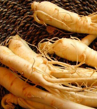 快乐孕期 孕妇产前三期如何调养