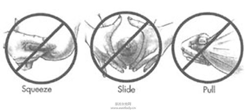 徒手挤奶的说明及图示 挤出的奶水如何储存