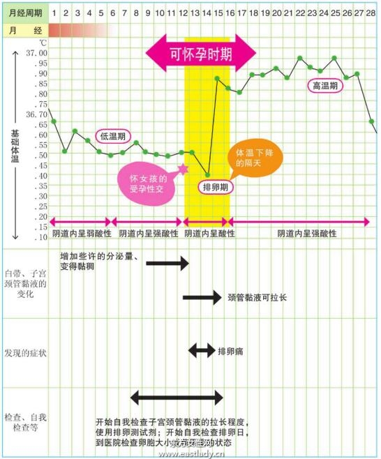 选择生女孩的计划表