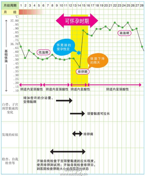 选择生男孩的计划表