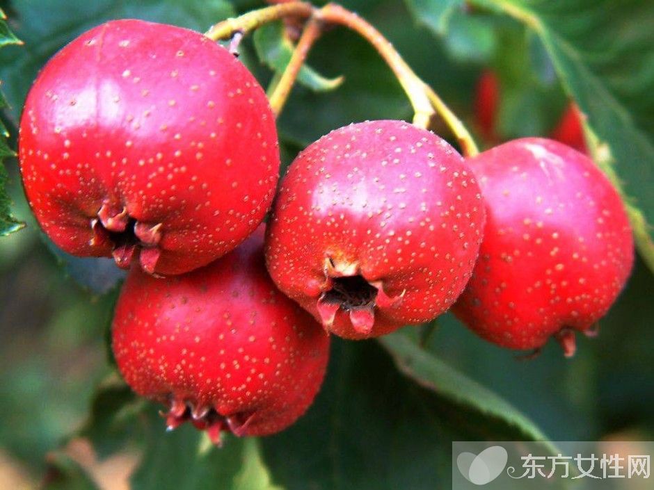 孕妇不能吃的水果有哪些 怀孕时吃什么水果好